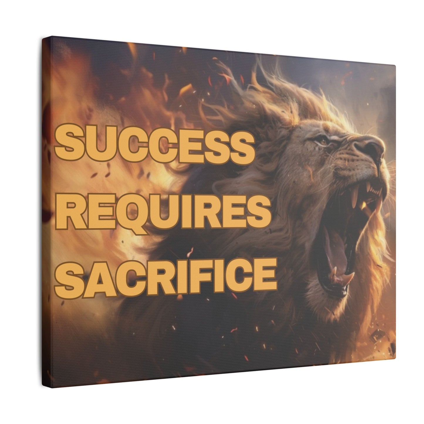 Success Requires Sacrifice Second Edition