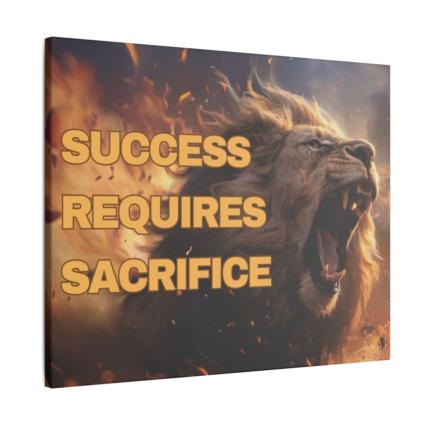 Success Requires Sacrifice Second Edition